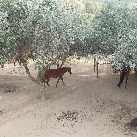 Casa Alby Quiliano-bergeggi Apartamento